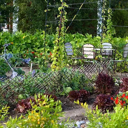 Tertin Kartano Mikkeli