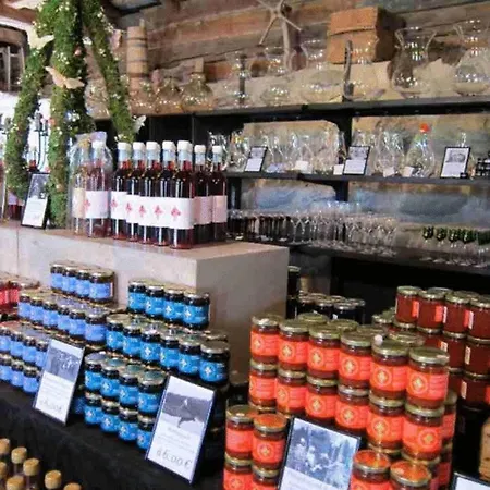 Hotel Tertin Kartano Mikkeli