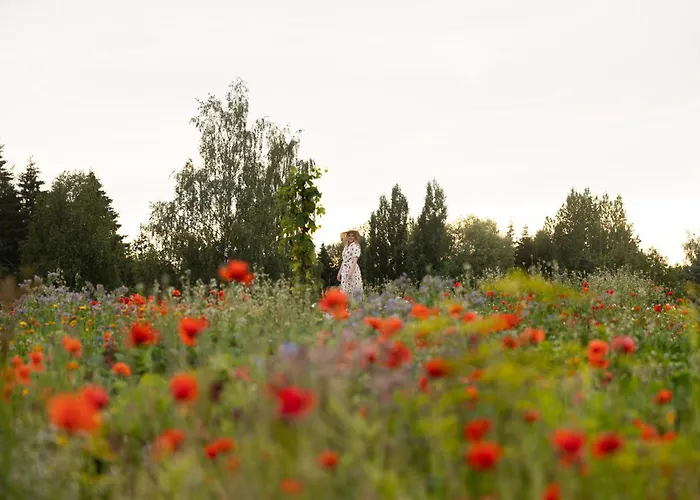 Tertin Kartano 4* Mikkeli